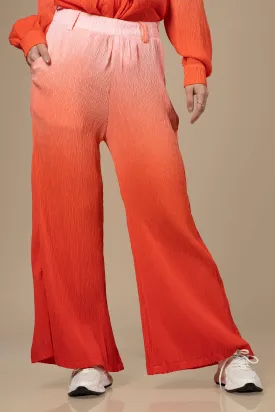 Ombre Pleated Ladies Bottom Wear
