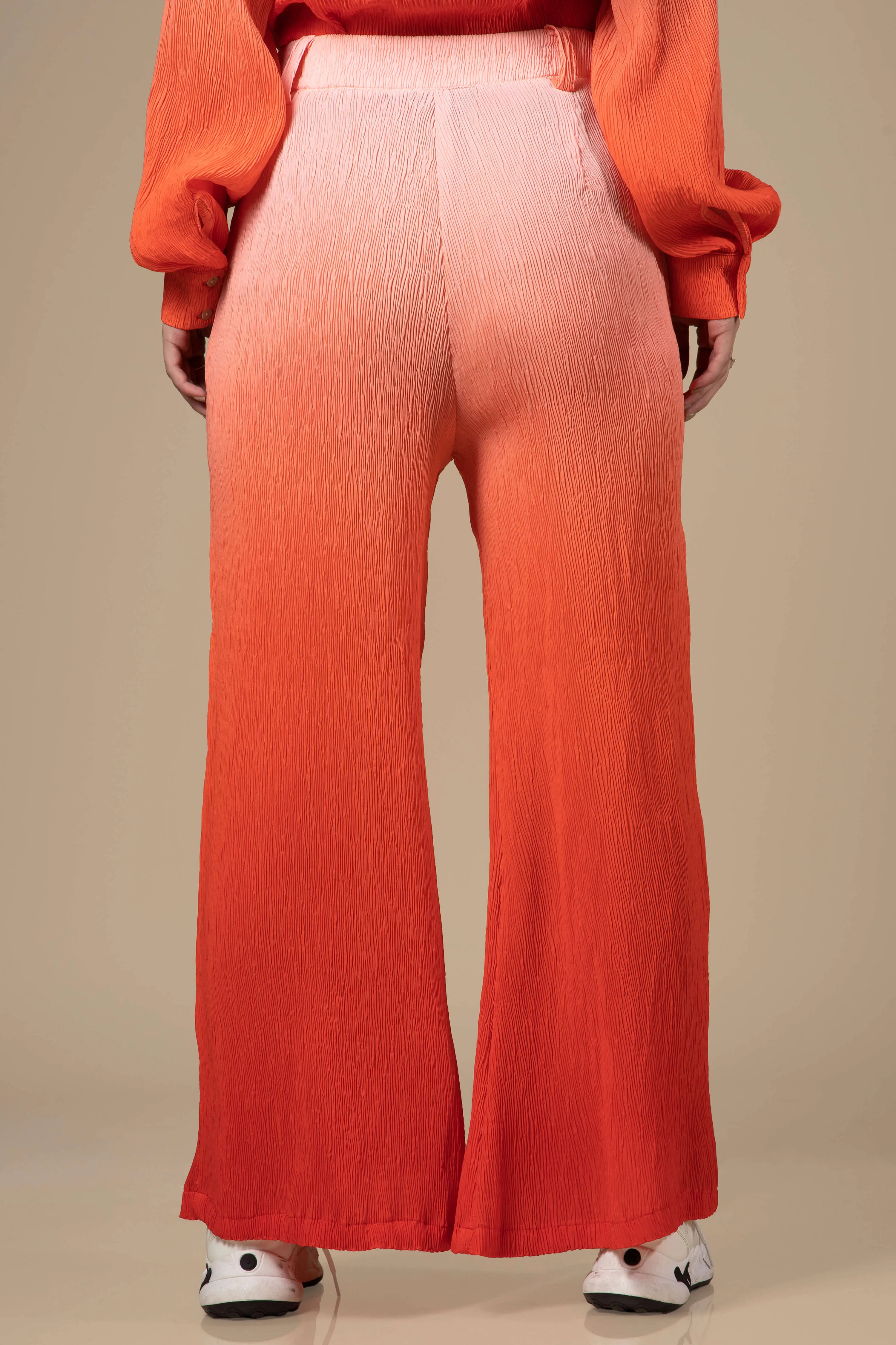 Ombre Pleated Ladies Bottom Wear